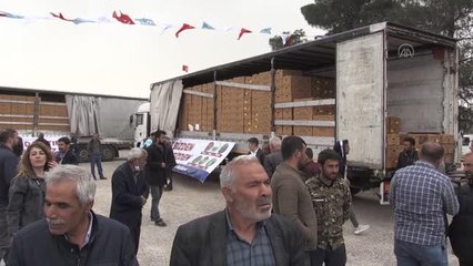 GAZİNATEP - Çiftçilere 9 milyon 950 bin fide dağıtıldı