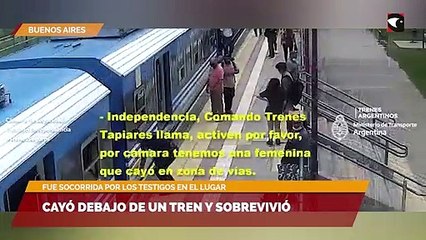 Cayó debajo de un tren y sobrevivió