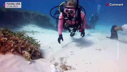 Pâques : pêche aux oeufs en Floride