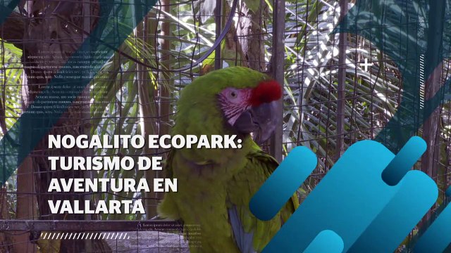 Visitantes disfrutan del turismo de Aventura en Vallarta | CPS Noticias Puerto Vallarta