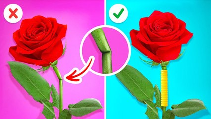 FANTASTIC GARDENING HACKS Easy DIY You Should Know Right Now By 123GO SCHOOL