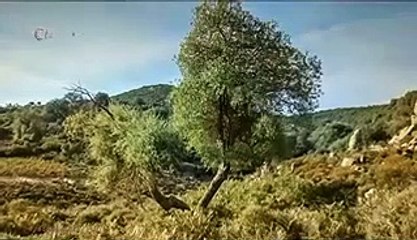 NOVELA GÊNESIS CAPITULO 131 COMPLETO - 20-07-2021 SEGUNDA