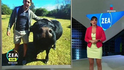 Se incendia auto en quema de Judas