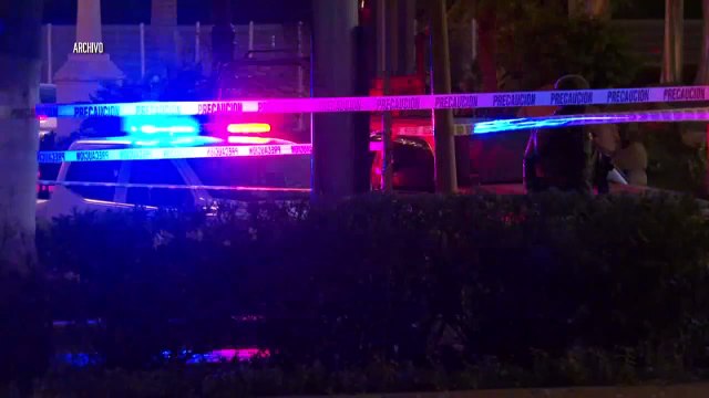 Vinculan a Manu Vaquita | CPS Noticias Puerto Vallarta