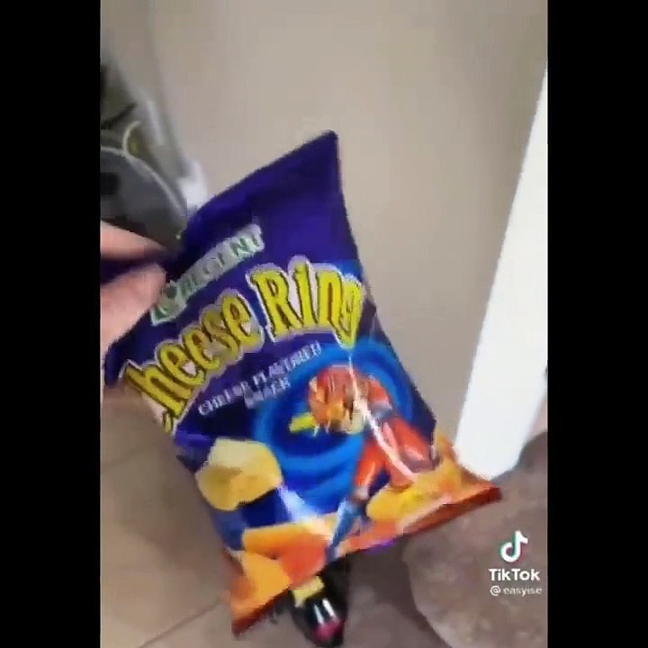 Funny Cats  - Don't try to hold back Laughter  - Johnny Catsville