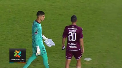 td7-numeros-morados-180422