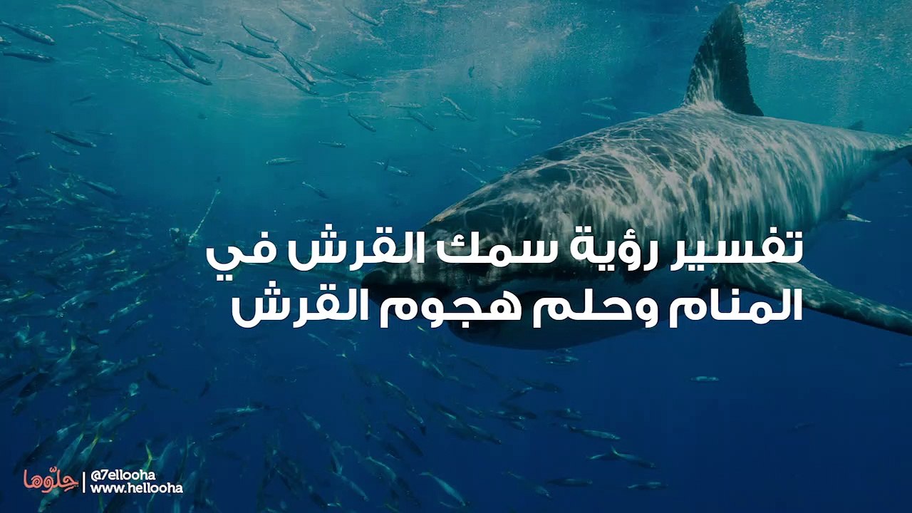 تفسير رؤية سمك القرش في المنام وحلم هجوم القرش