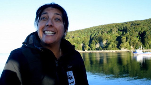 Chile: Intereses privados en la disputada Isla Guafo