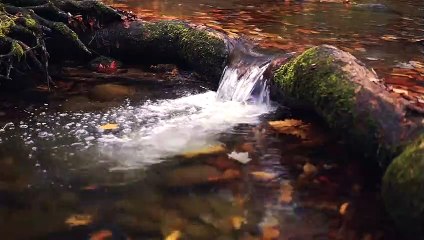 Relaxing Sound : Waterside Grass Open Field & Fountain & Rain