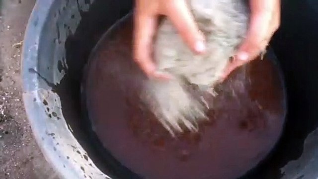 Crunchy Super Gritty Sand Cement Dry Water Crumbles Cr: Ornate ASMR