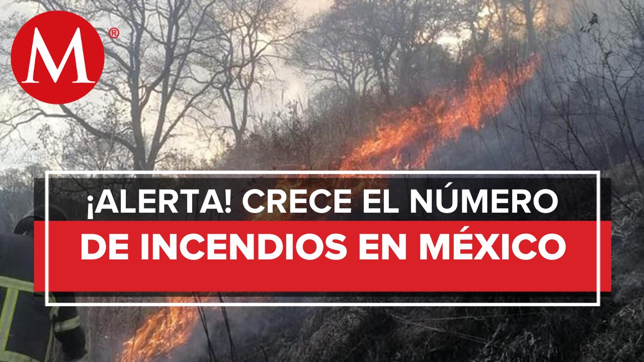 Reportan 67 incendios forestales activos en 19 estados
