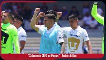 Pumas en grande - Reacción en Cadena