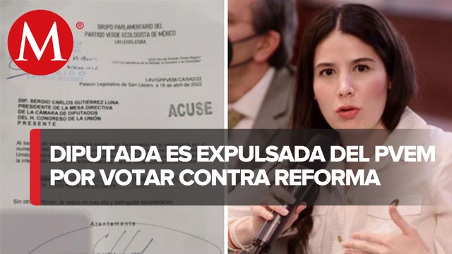 PVEM expulsa a diputada Alexis Gamiño por votar contra reforma eléctrica