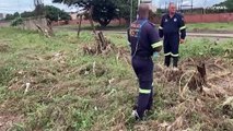 Nach Unwettern: Südafrikas Präsident ruft landesweiten Katastrophenzustand aus