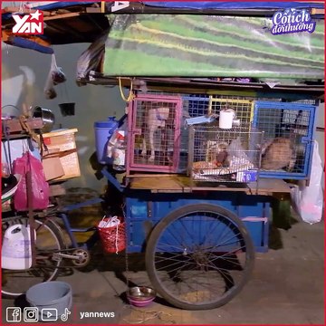 Câu chuyện đau lòng của bà cụ vô gia cư giành cả đời cưu mang động vật bị bỏ rơi