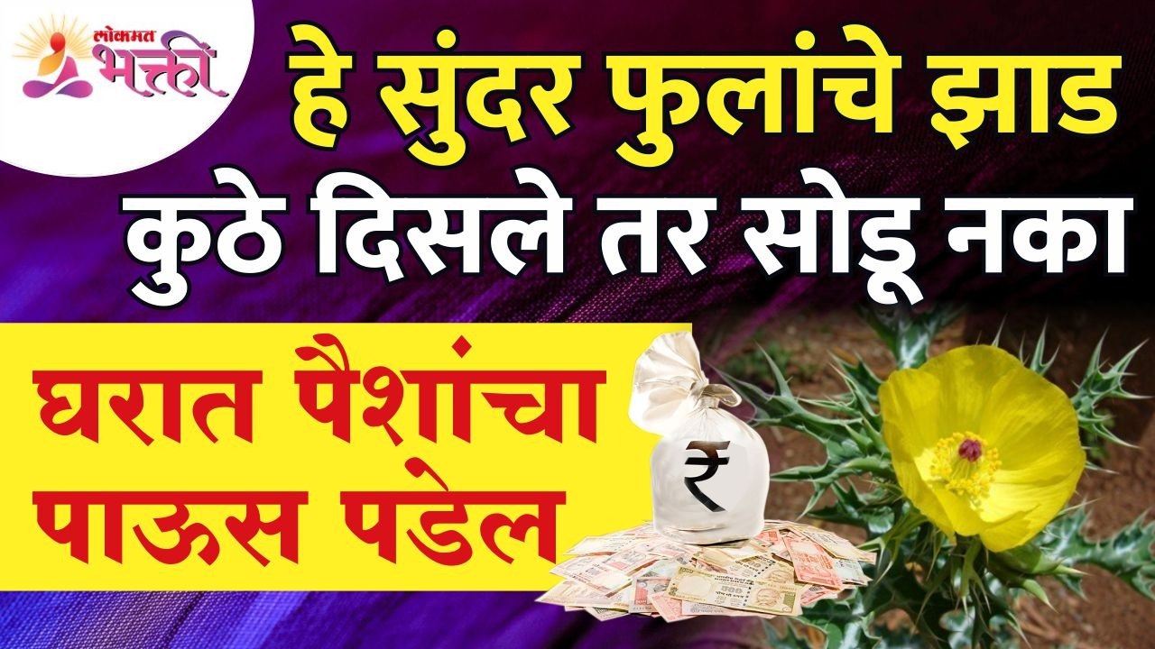 सुंदर फुलांचे कोणते झाड कुठे दिसले तर सोडू नका? घरात पैशांचा पाऊस पडेल | Lokmat Bhakti