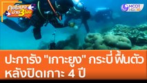 ปะการัง 