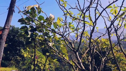 Camping ground ipukan | Kuningan Jawa Barat