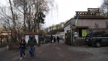 Lviv, savaş bölgelerinden kurtarılan hayvanların barınağı oldu