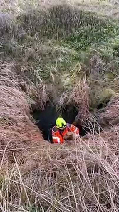 Dog is rescued after four days stuck down a mine shaft