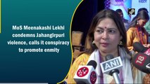 MoS Meenakashi Lekhi condemns Jahangirpuri violence, calls it conspiracy to promote enmity