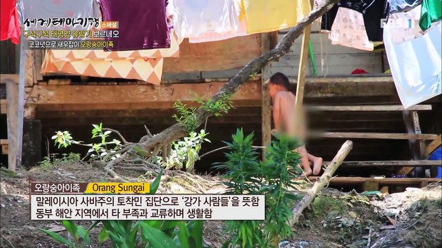 세계테마기행 - 구석구석 태평양 유람기- 열대 우림을 가다, 보르네오_#002