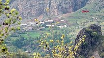PKK'ya Pençe-Kilit darbesi! Etkisiz hale getirilen terörist sayısı belli oldu
