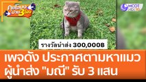 เพจดัง ประกาศตามหาแมว ผู้นำส่ง 