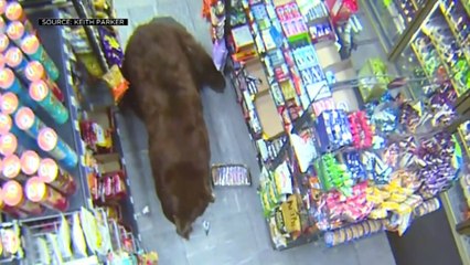 WEIRD THINGS CAUGHT ON SECURITY CAMERAS!