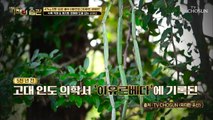 -47kg 몸무게 감량에 성공한 그녀의 다이어트 비법 『시서스』 TV CHOSUN 220419 방송