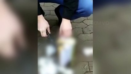 Far-right Danish Politician Burns The Holy Quran Under Police Protection