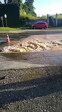 Vazamento em rede adutora da Companhia Águas de Joinville