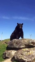 Rayane Bensetti, Instagram