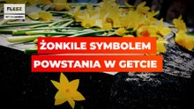 Żonkile symbolem powstania w getcie