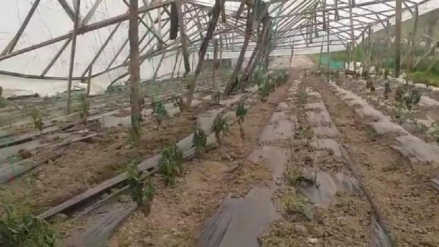 Seraları bu kez fırtına vurdu