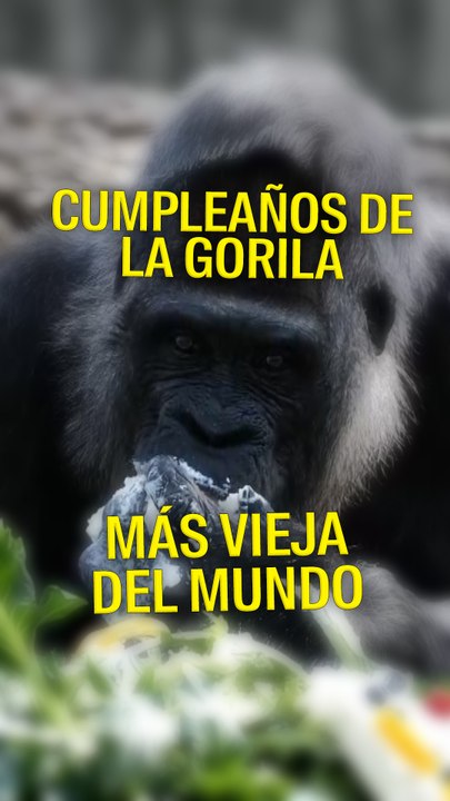 Fatou puede hoy celebrar su cumpleaños después de una complicada vida  ¡Muchas felicidades!