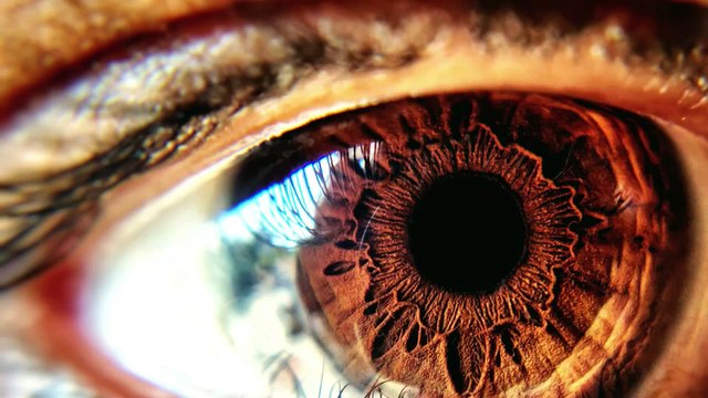 Only 1% of the population can solve this optical illusion, can you?