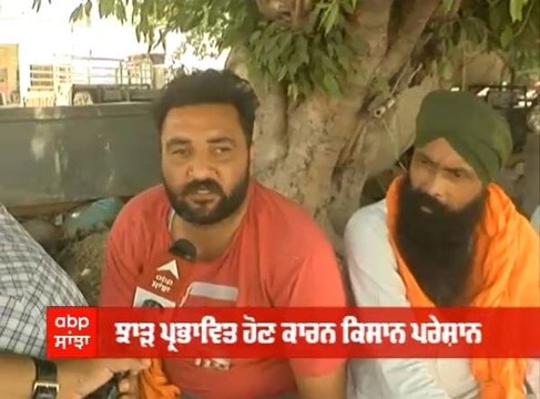 ਮਾਝੇ ਦੀਆਂ ਮੰਡੀਆਂ 'ਚ ਕਿਹੋ ਜਿਹੇ ਨੇ ਕਣਕ ਦੀ ਖ਼ਰੀਦ ਦੇ ਇੰਤਜ਼ਾਮ, ਸੁਣੋ ਕਿਸਾਨਾਂ ਦੀ ਜ਼ੁਬਾਨੀ