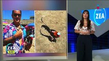 Hombre lleva a gallo de vacaciones a la playa