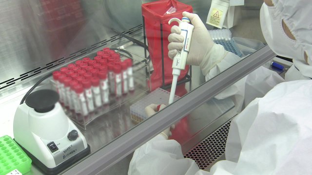 오미크론 재조합 변이 XE, XM도 확인...스텔스 오미크론 검출률 91.5% / YTN