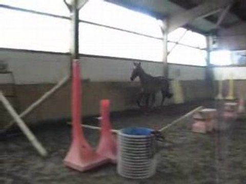 Cafouillage de queyras en saut