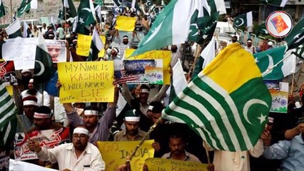 5 February  Solidarity And stand with peace and humanity