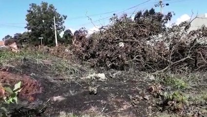 Incêndio em vegetação rasteira mobiliza Corpo de Bombeiros