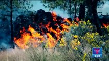 La CDMX arde, así combaten incendios forestales en la capital