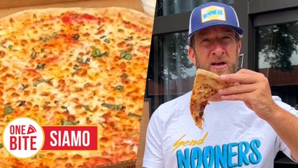Barstool Pizza Review - Siamo (Miami Springs, FL)