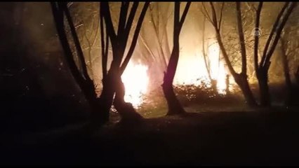 KIRIKKALE - Sazlık alanda çıkan yangın söndürüldü