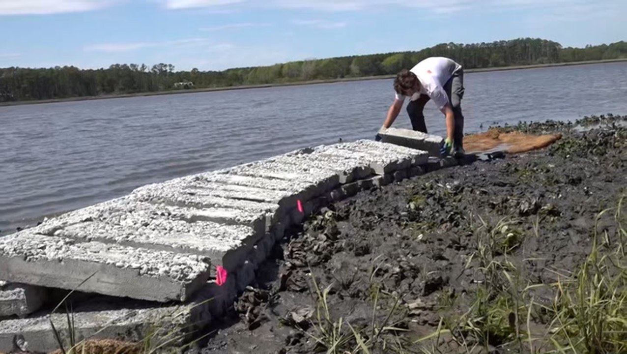 North Carolina encouraging use of living shorelines to protect against erosion