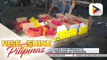 P8-K halaga ng smuggled agri products, nakumpiska sa ilang tindahan sa Divisoria
