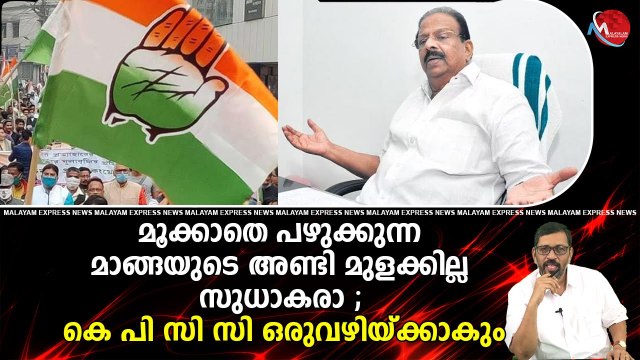 മൂക്കാതെ പഴുക്കുന്ന മാങ്ങയുടെ അണ്ടി മുളക്കില്ല സുധാകരാ ; കെ പി സി സി ഒരുവഴിയ്ക്കാകും