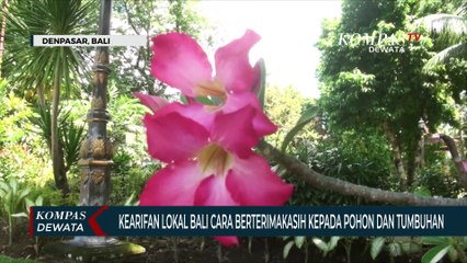 Gubernur Bali Tetapkan Hari Tumpek Wariga Sebagai Upacara Wana Kertih